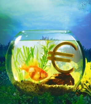 akvárium se zlatými rybkami k přilákání peněz