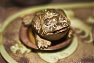 Amulet-ropucha, štěstí a bohatství